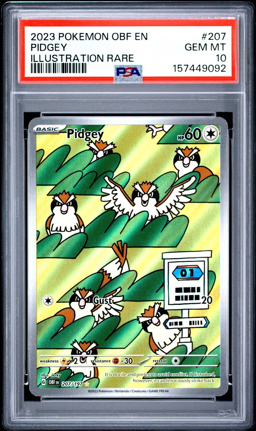 Pidgey