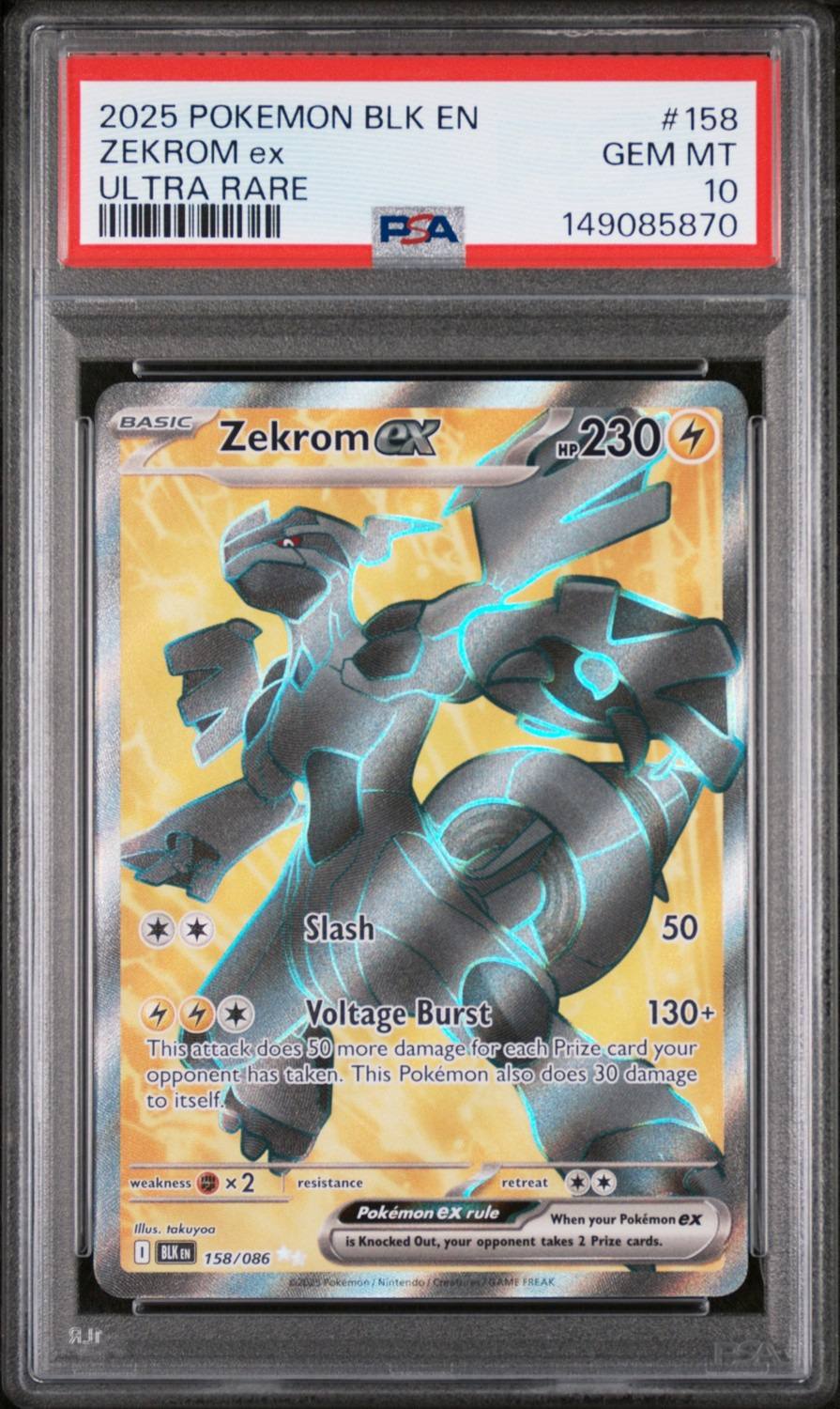 Zekrom Ex