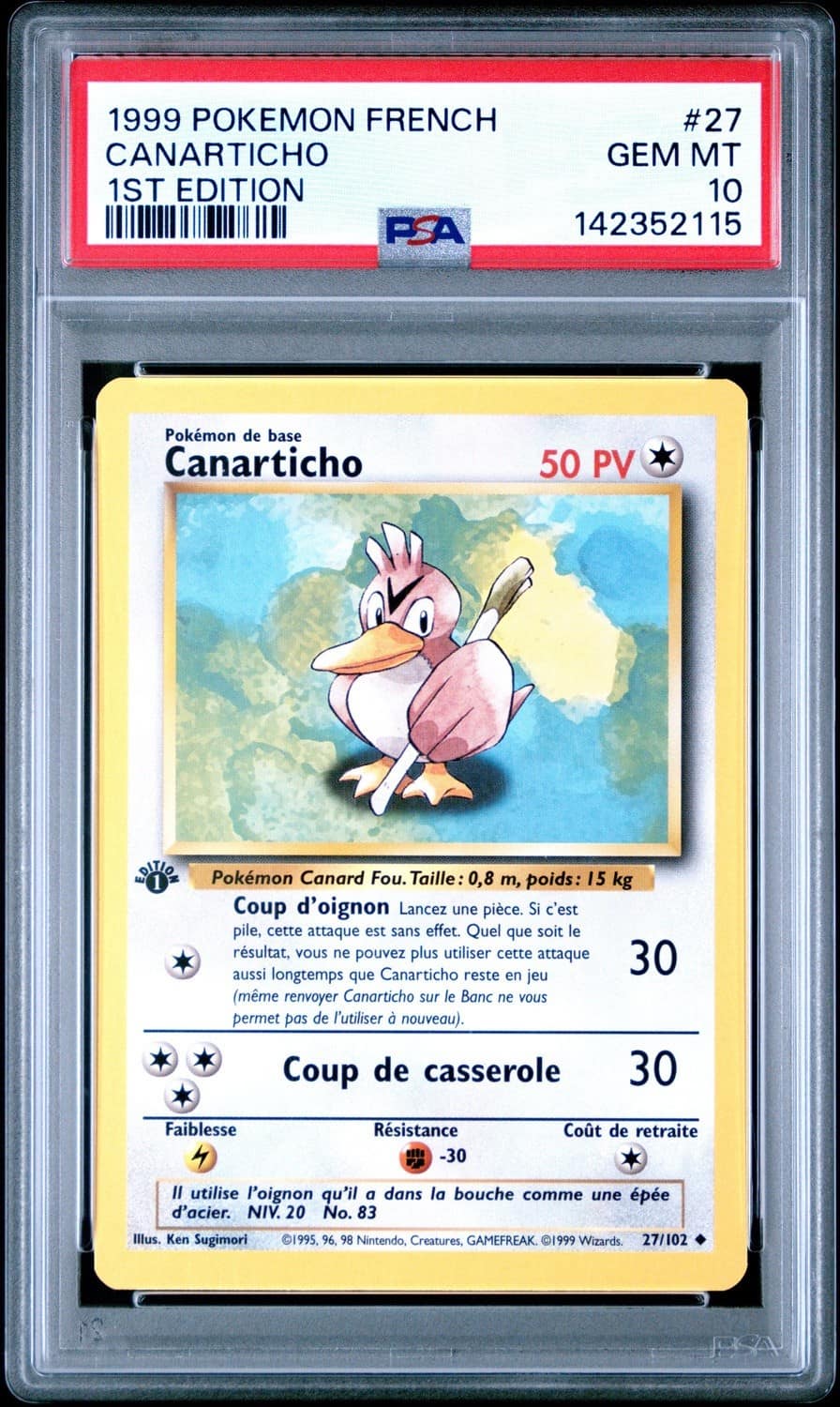 Canarticho