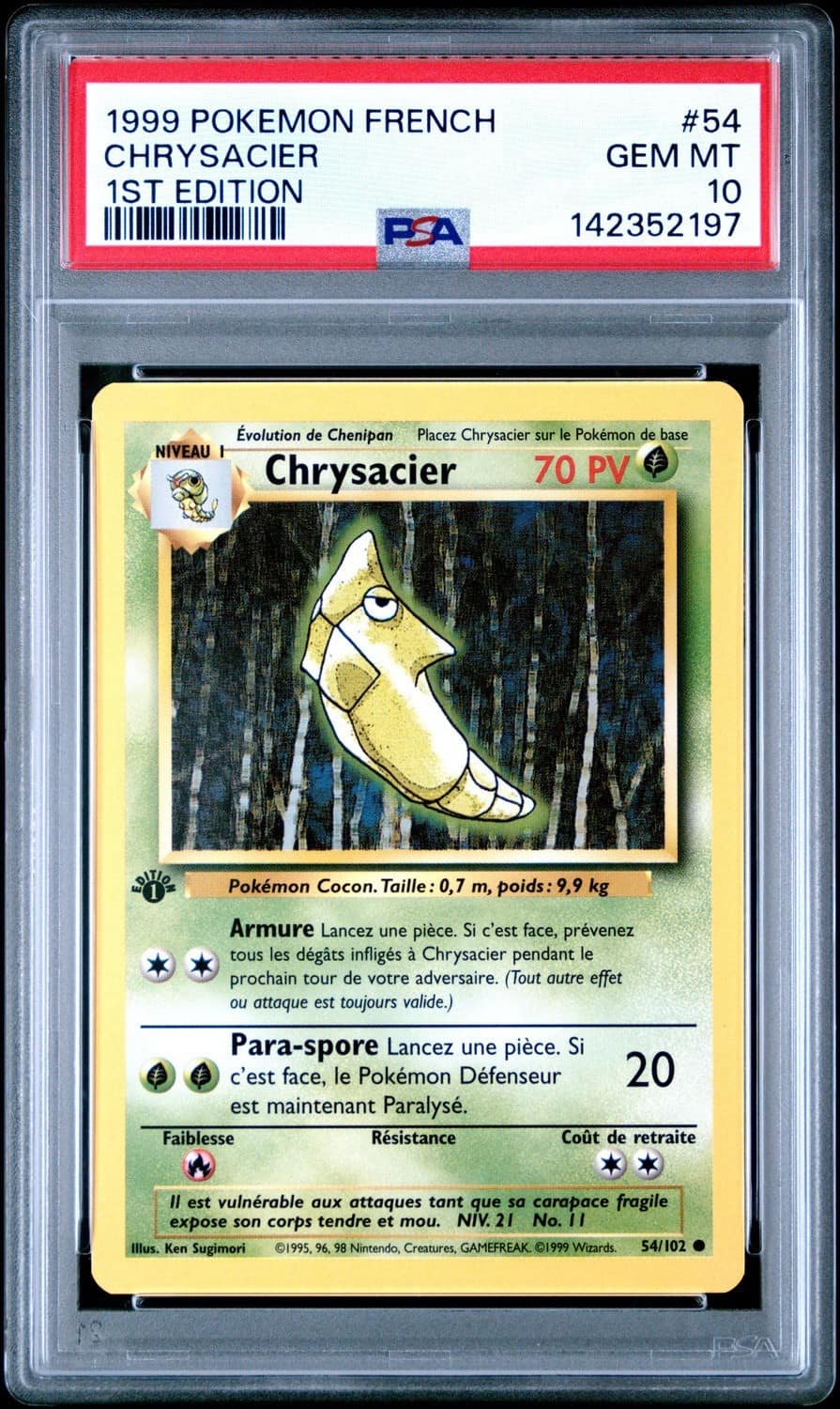 Chrysacier