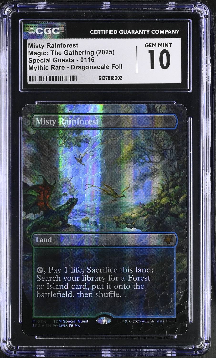 Misty Rainforest