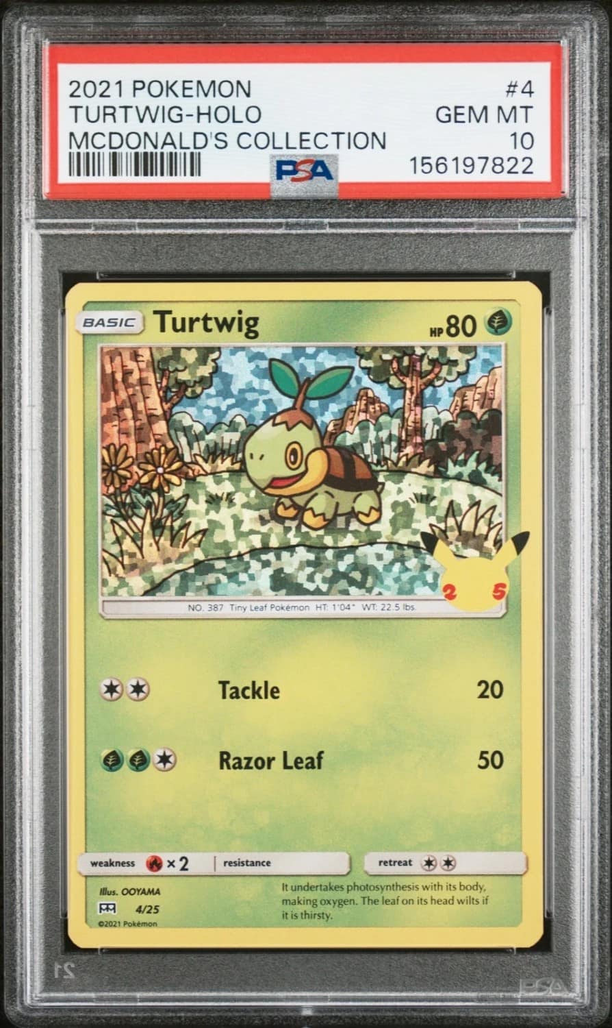 Turtwig