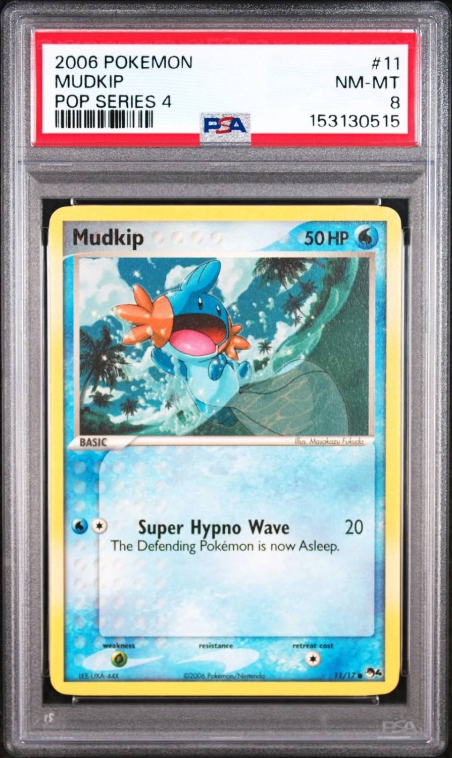 Mudkip