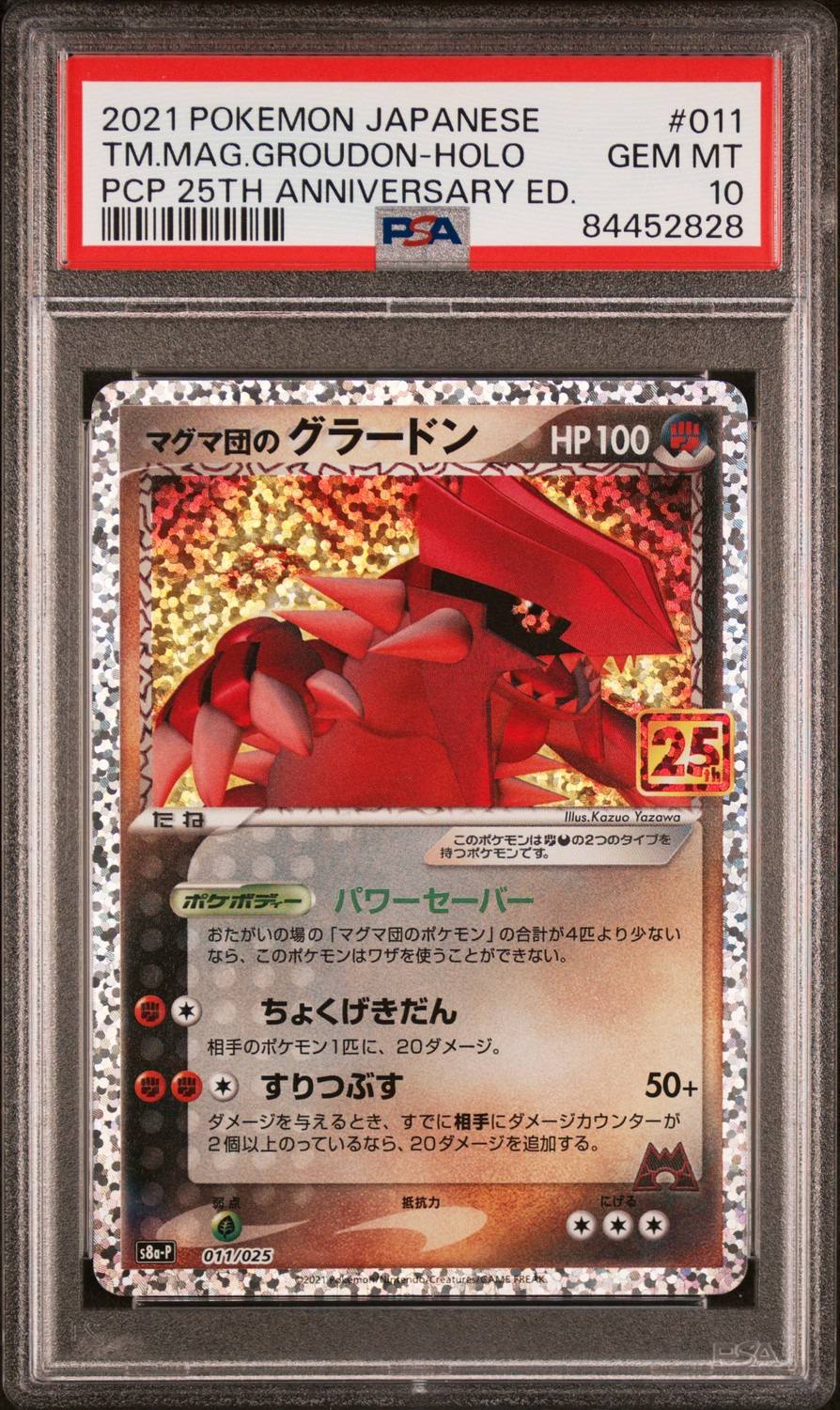 Team Magma'S Groudon