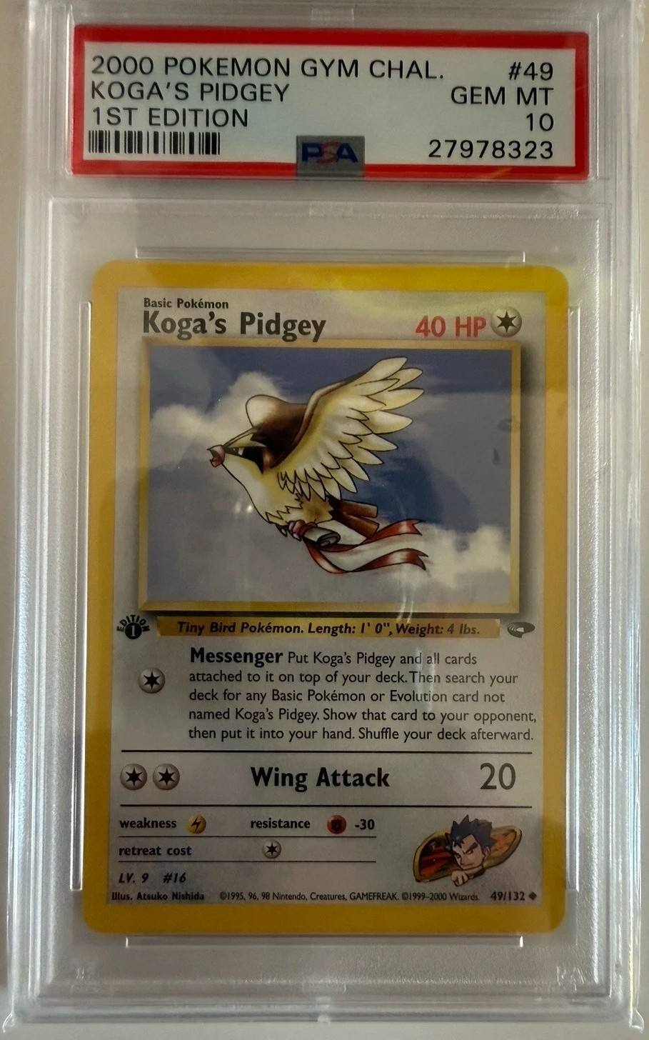 Koga'S Pidgey