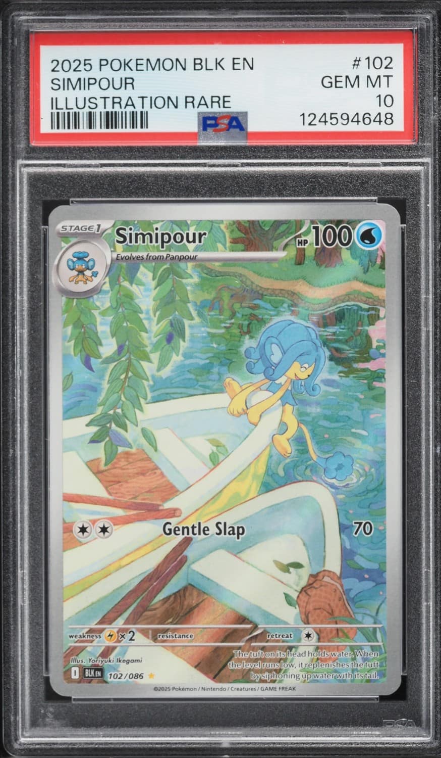 Simipour