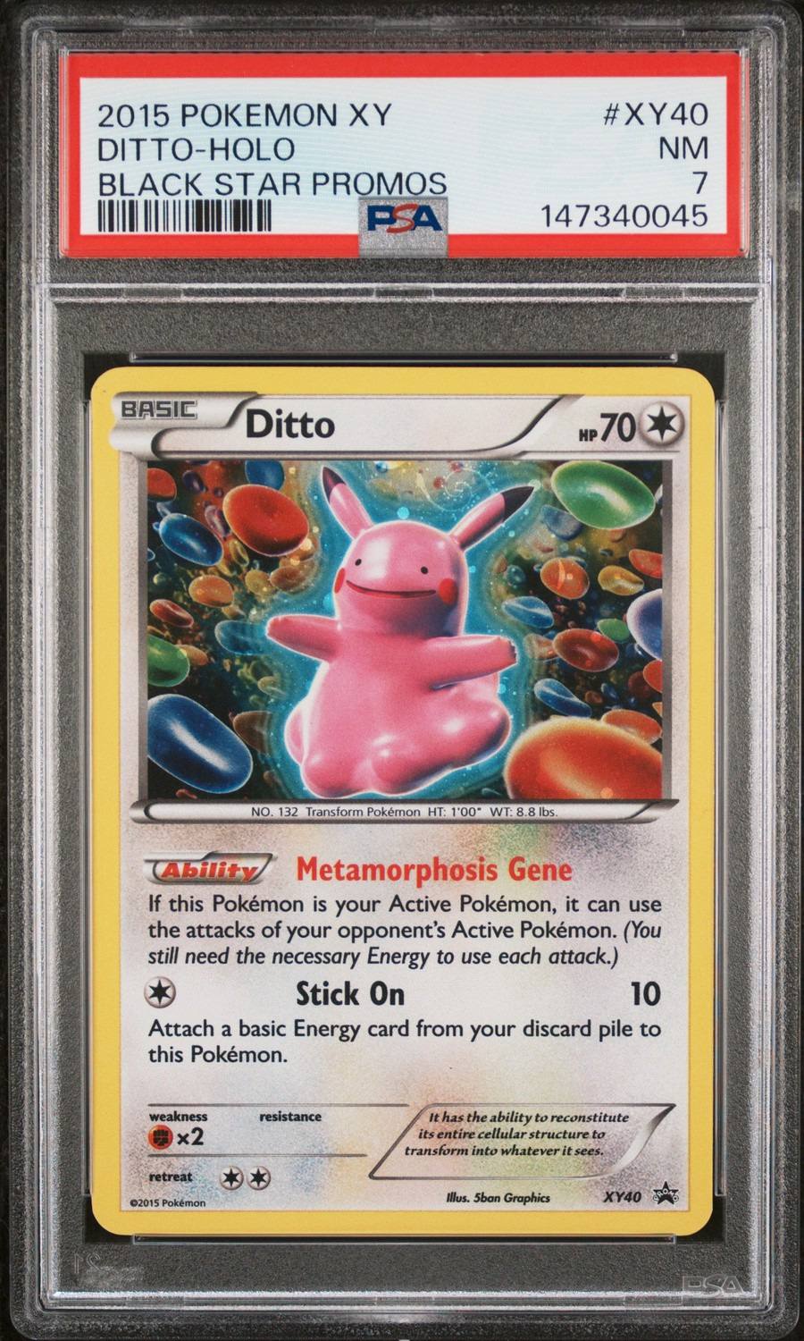 Ditto