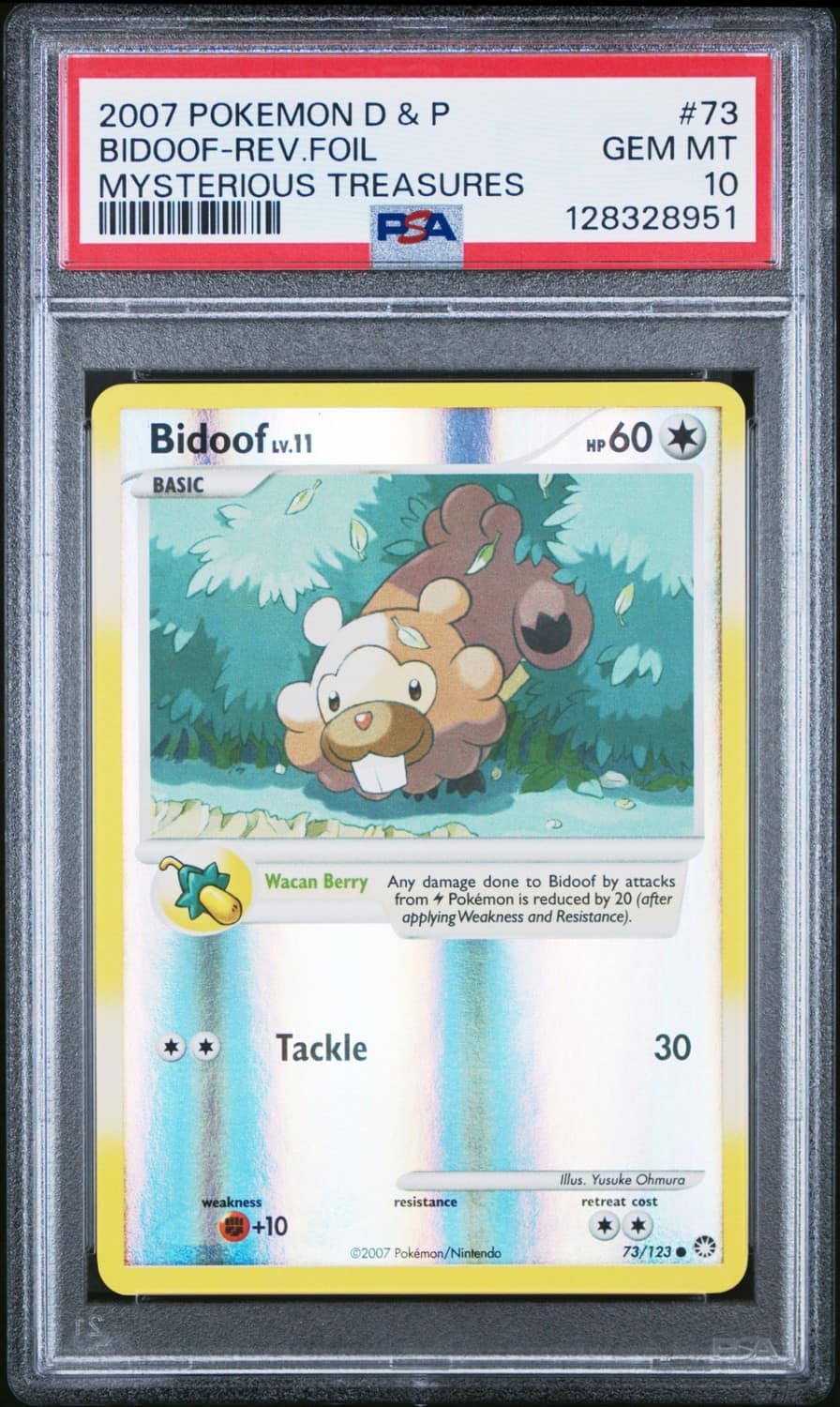 Bidoof