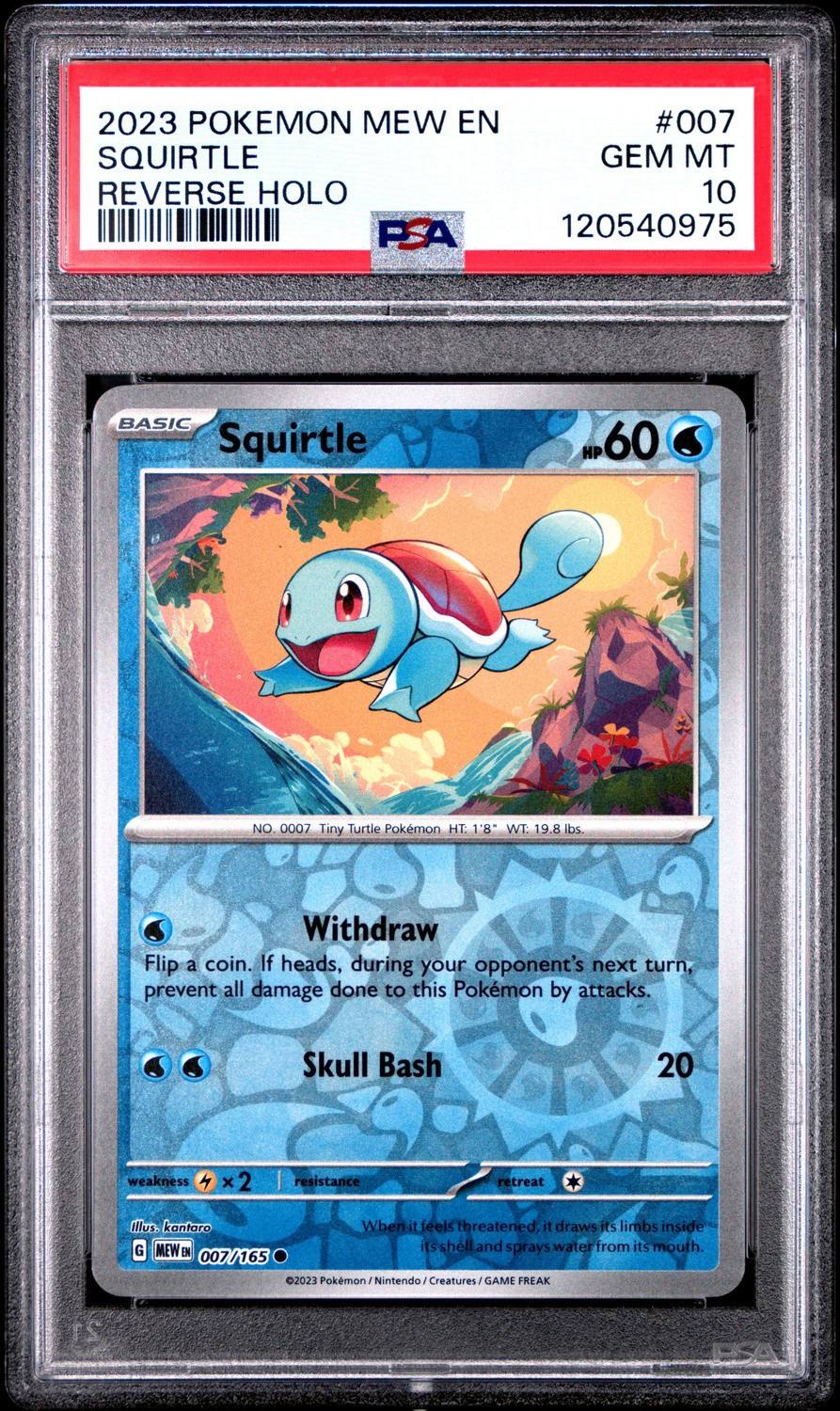 Squirtle