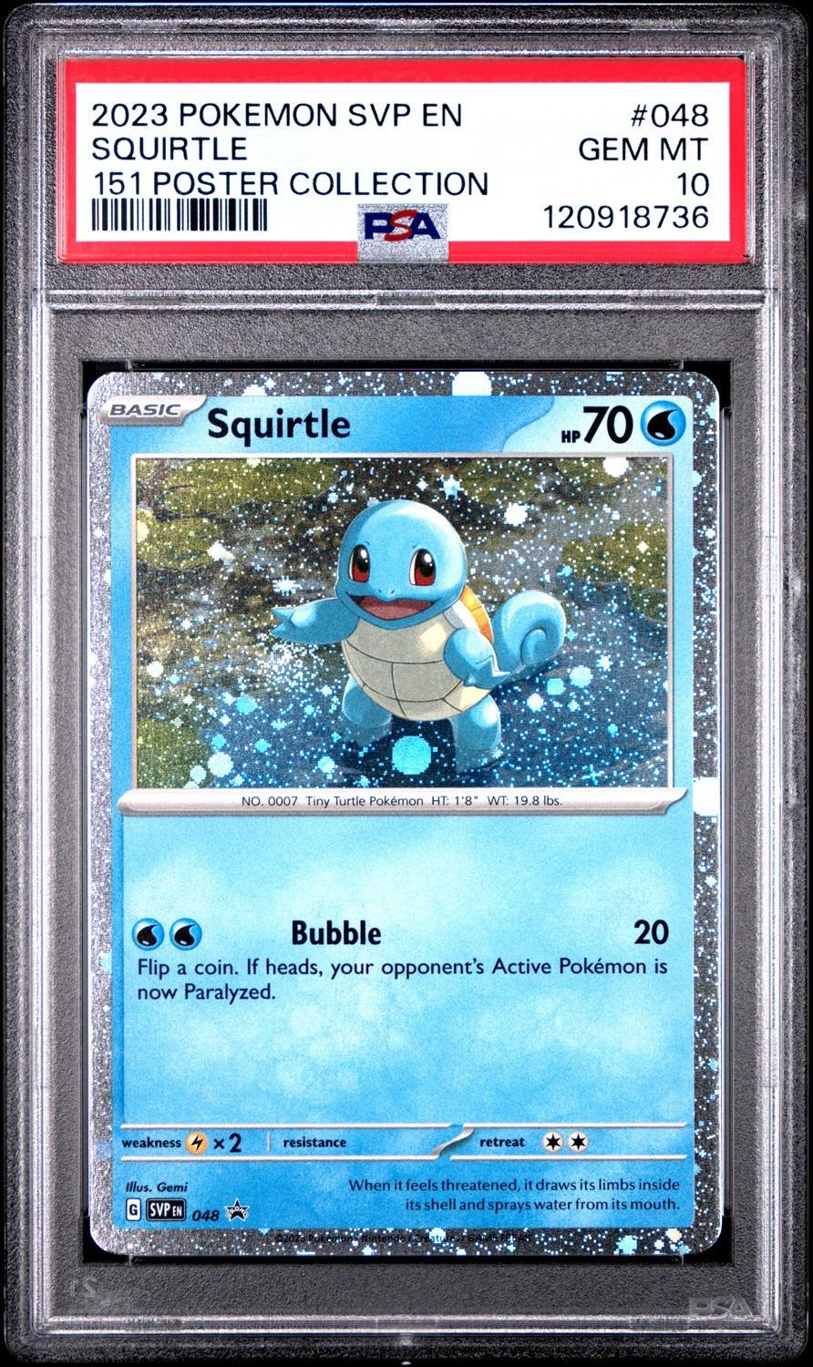 Squirtle