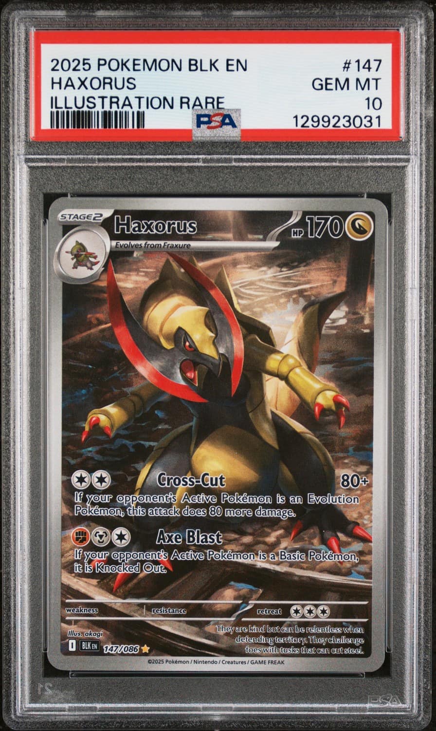 Haxorus