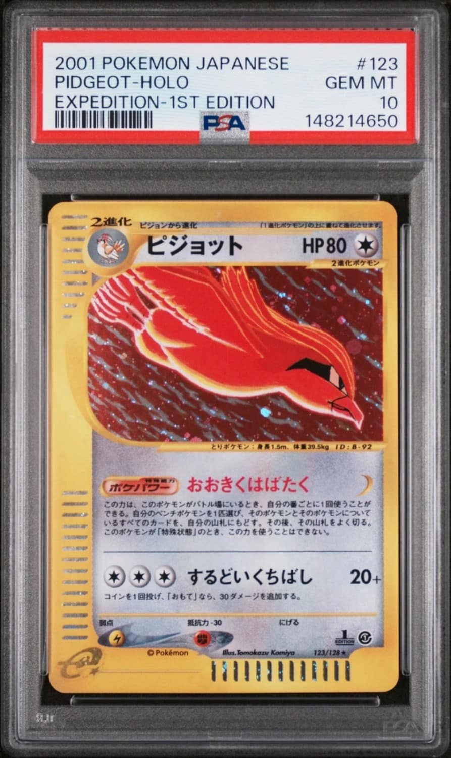 Pidgeot