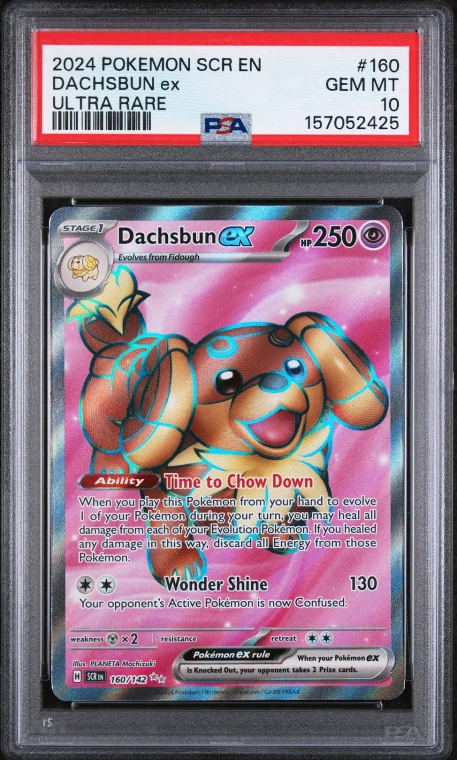 Dachsbun Ex