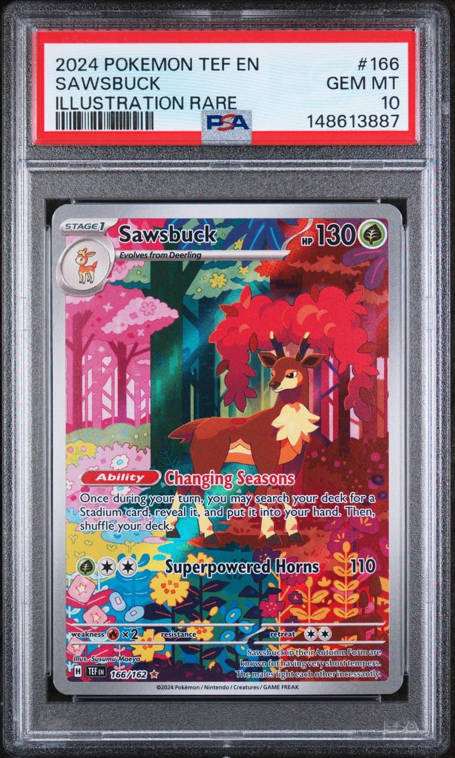 Sawsbuck