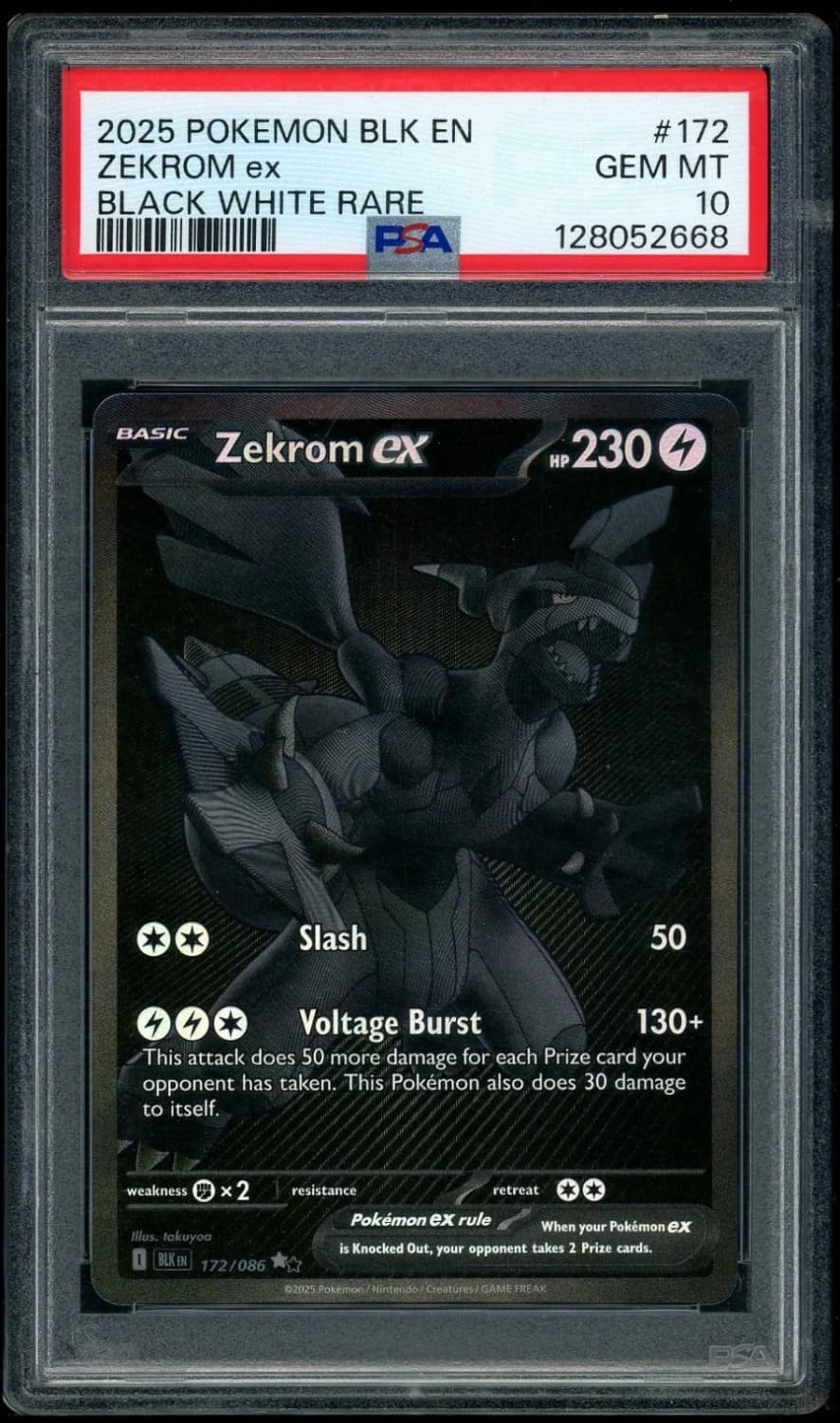 Zekrom Ex