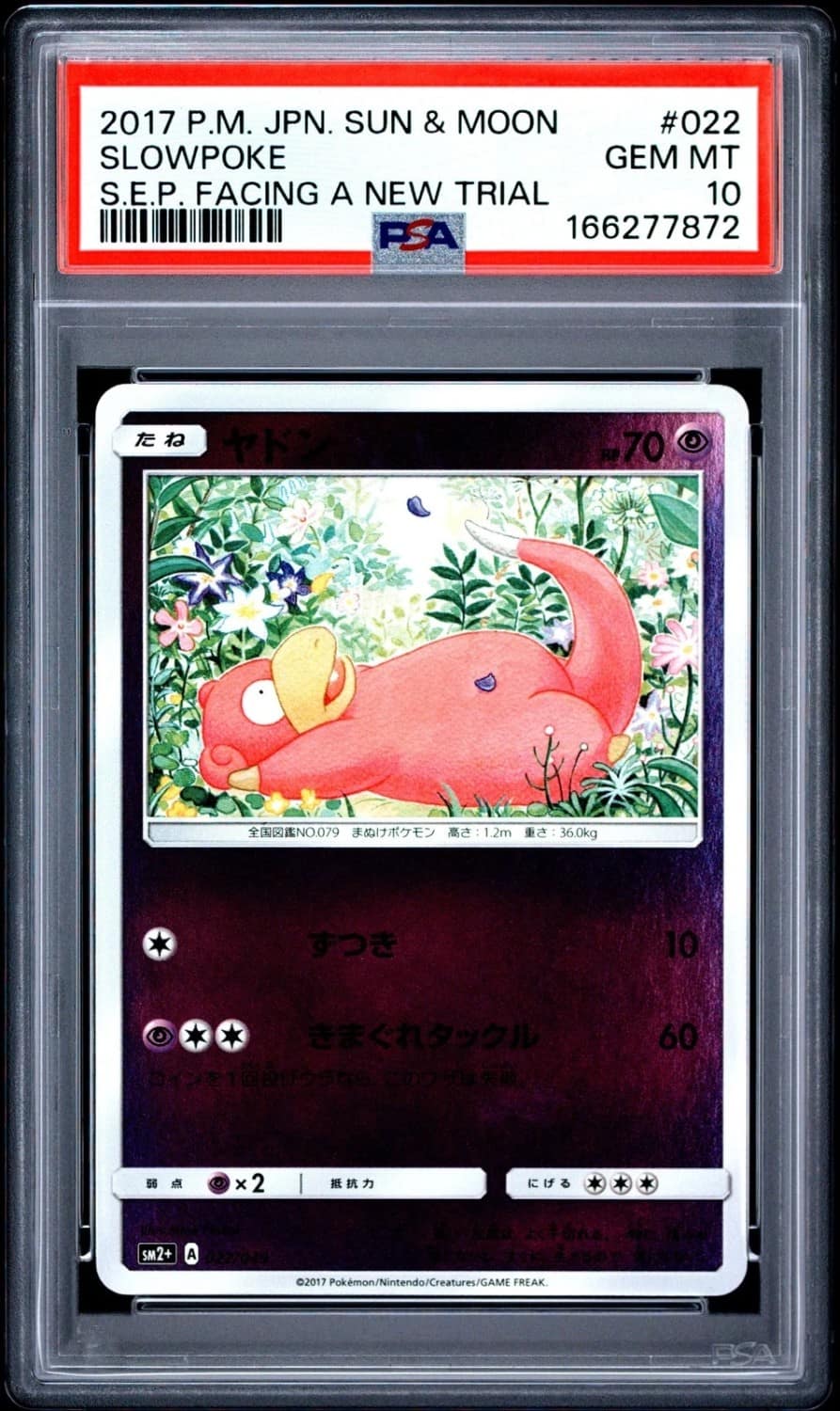 Slowpoke