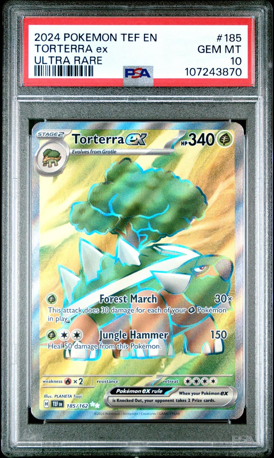 Torterra Ex