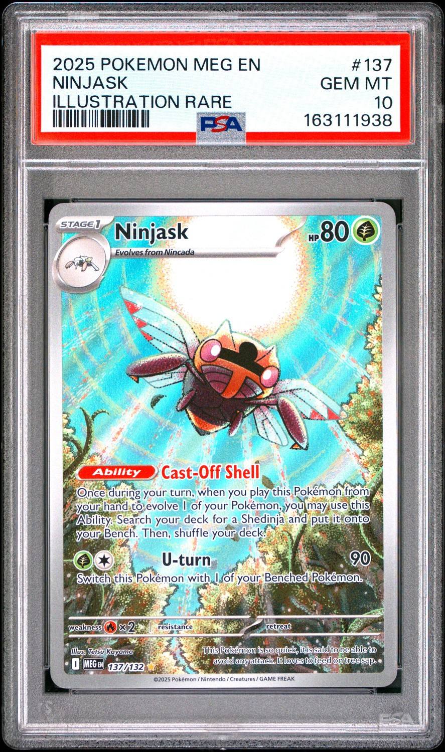 Ninjask