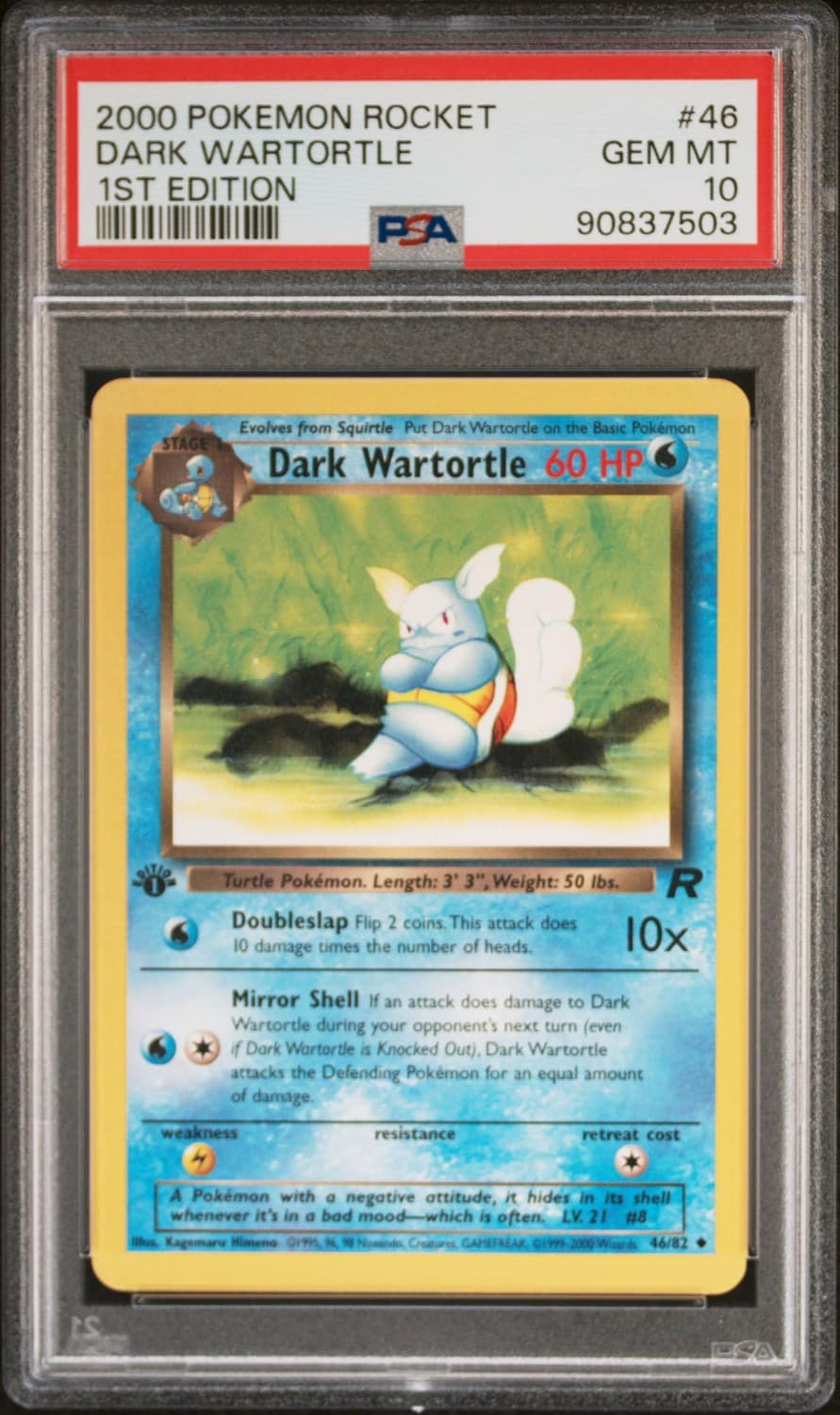 Dark Wartortle