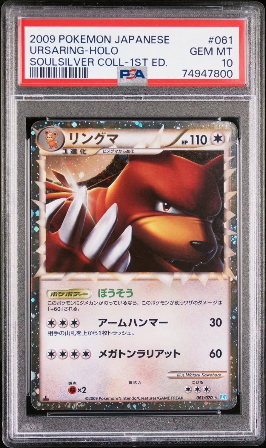 Ursaring