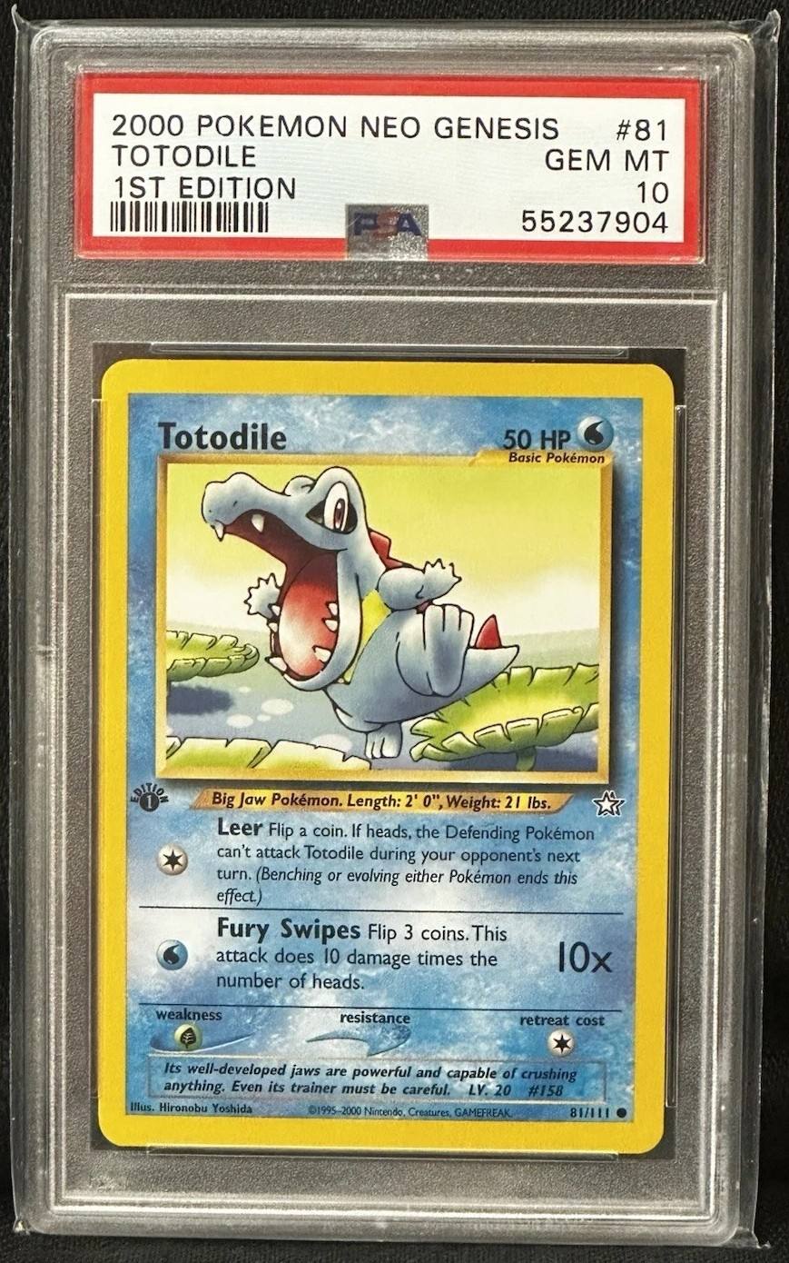 Totodile
