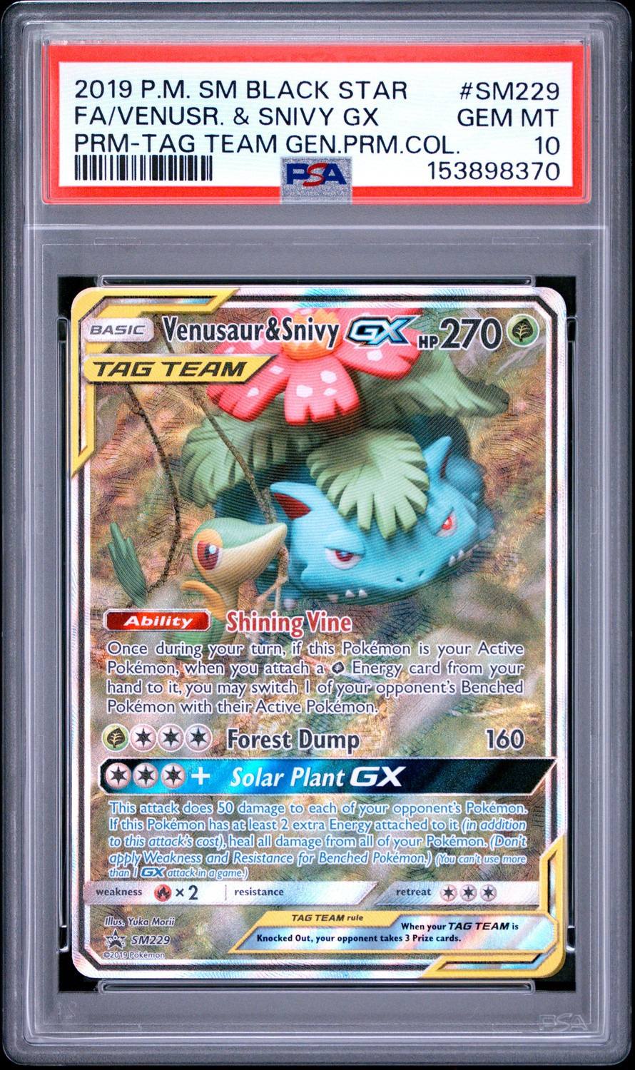 Venusaur & Snivy Gx