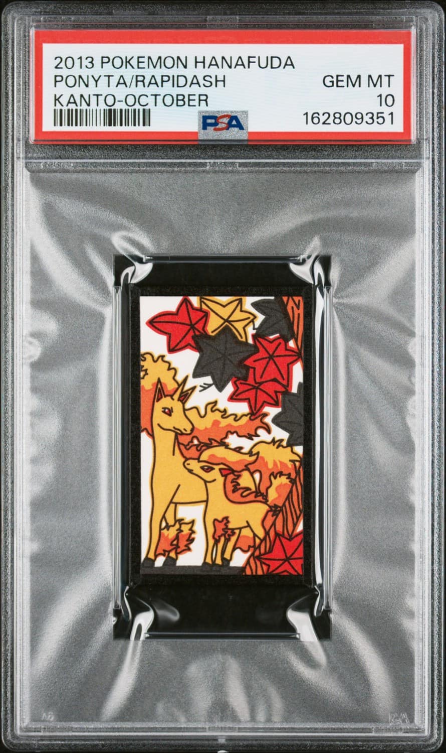 Ponyta/rapidash