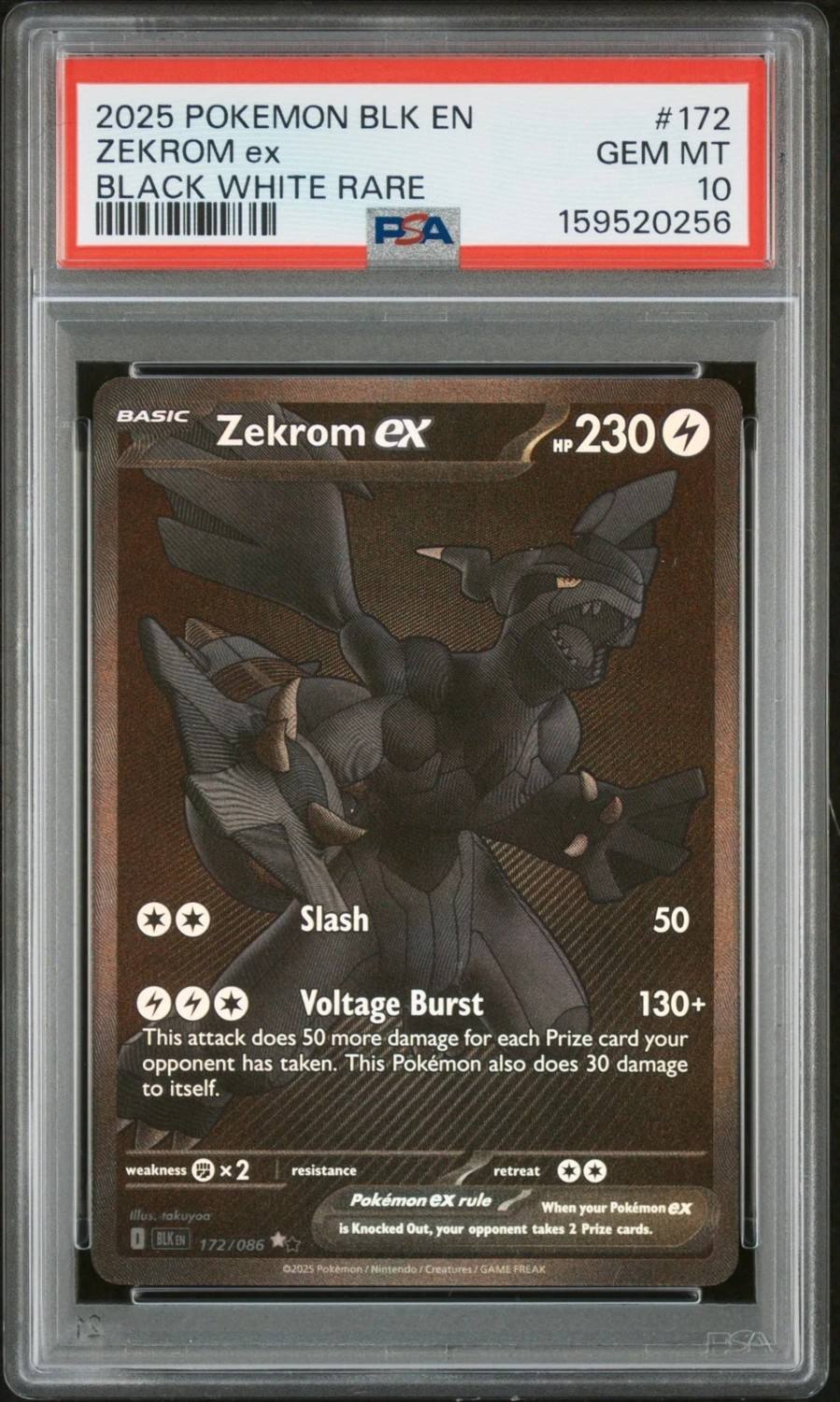 Zekrom Ex