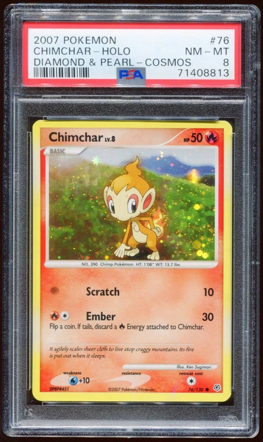 Chimchar Lv.8