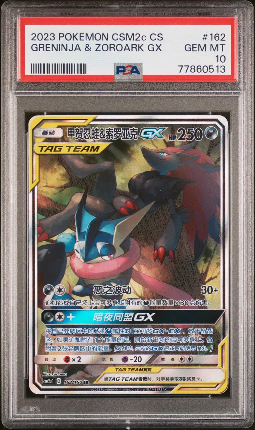 Greninja & Zoroark Gx