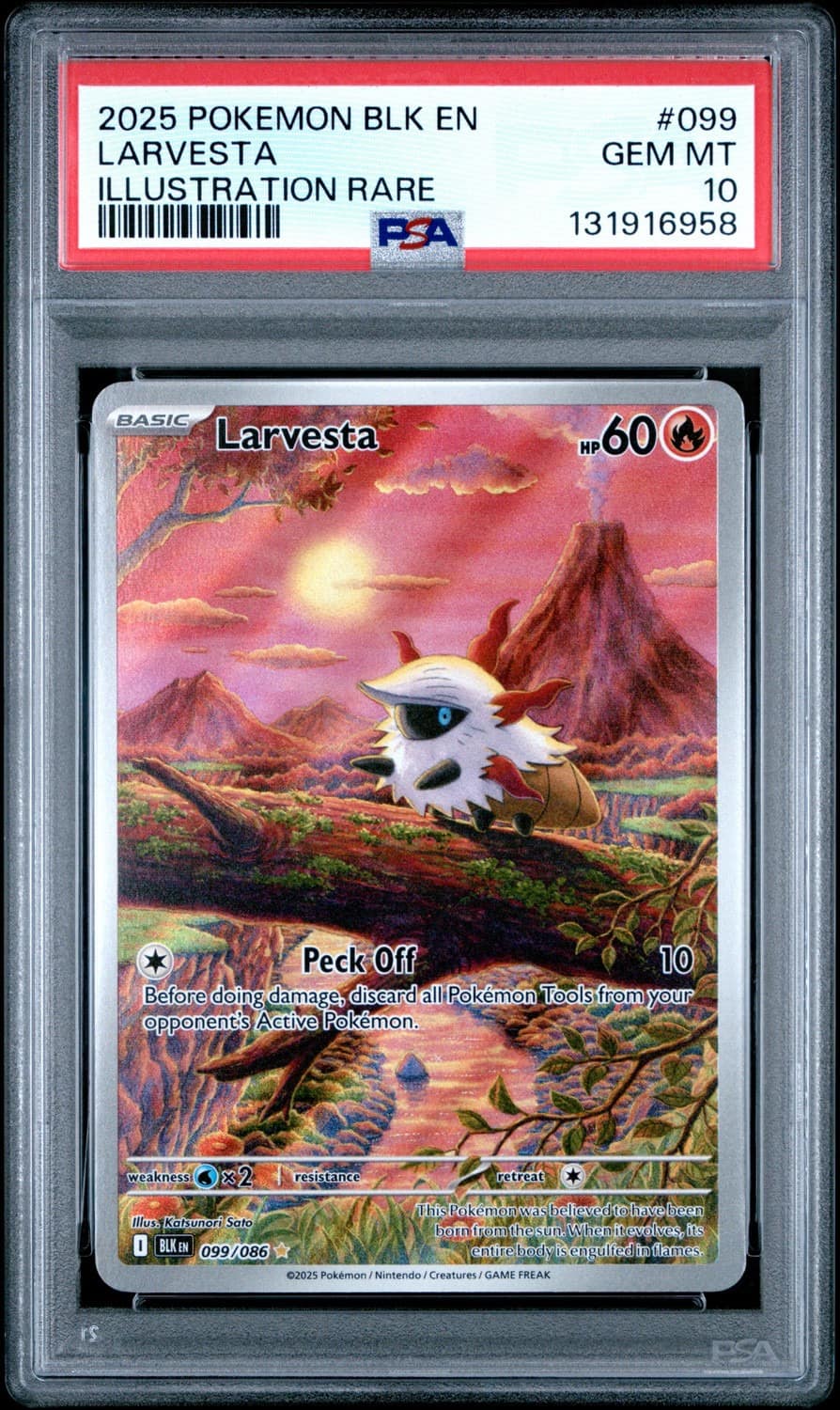 Larvesta