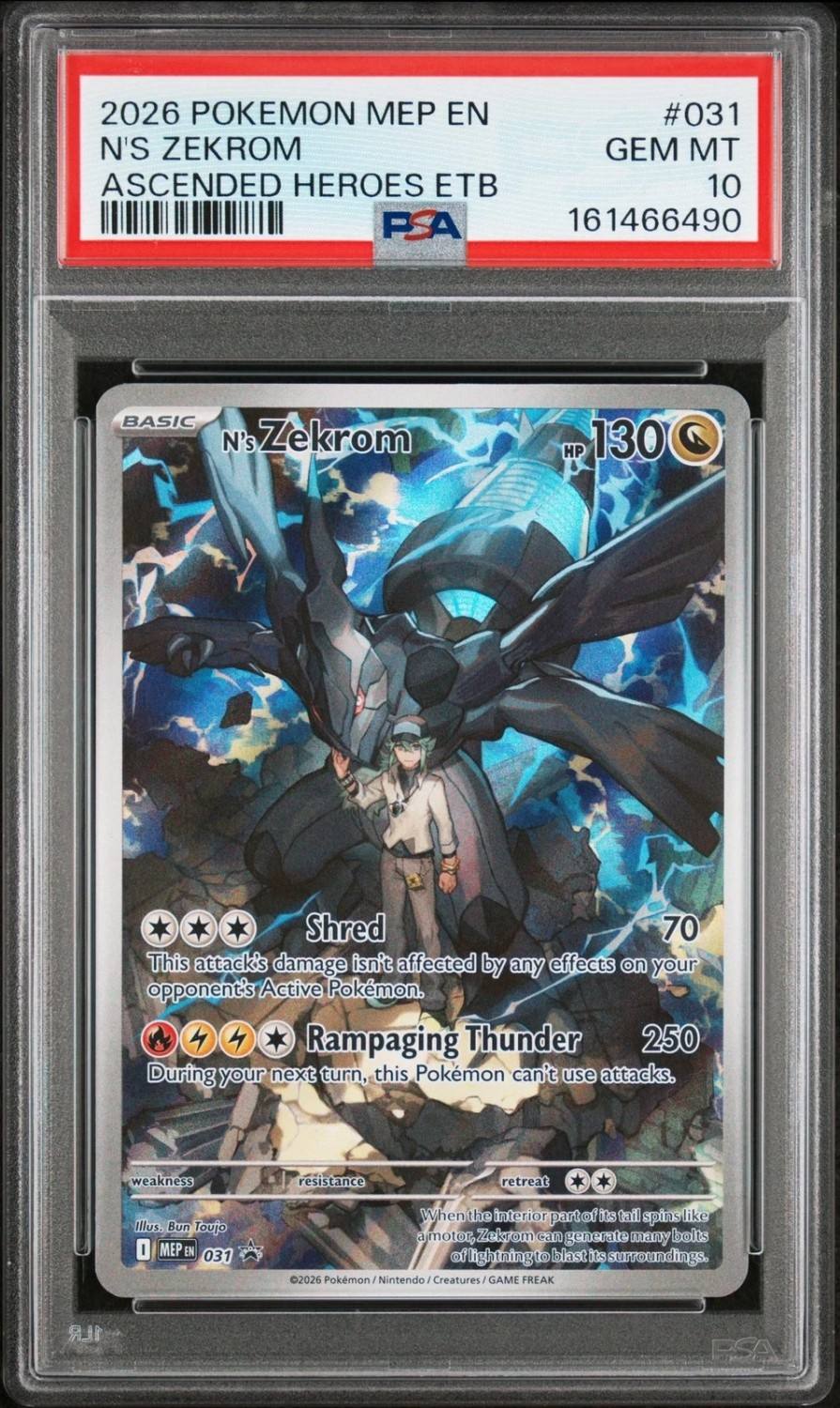 N'S Zekrom