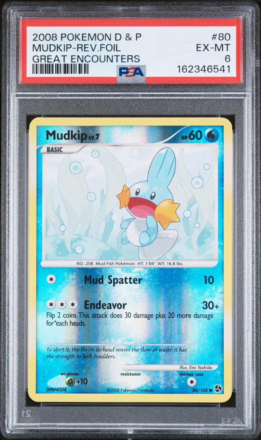 Mudkip-Rev.foil