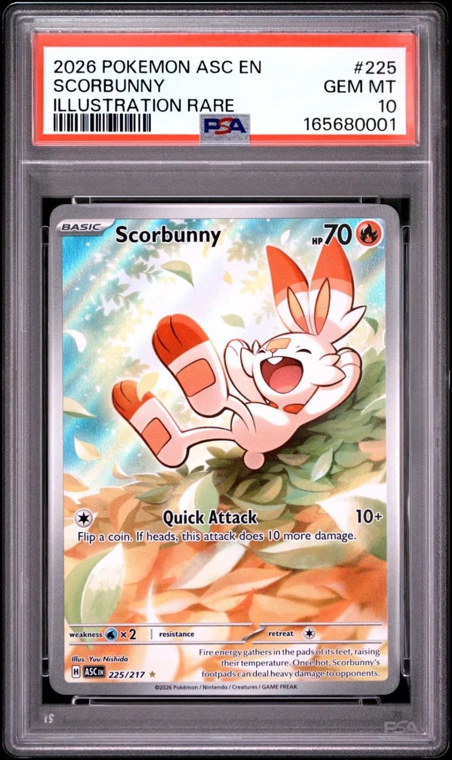 Scorbunny