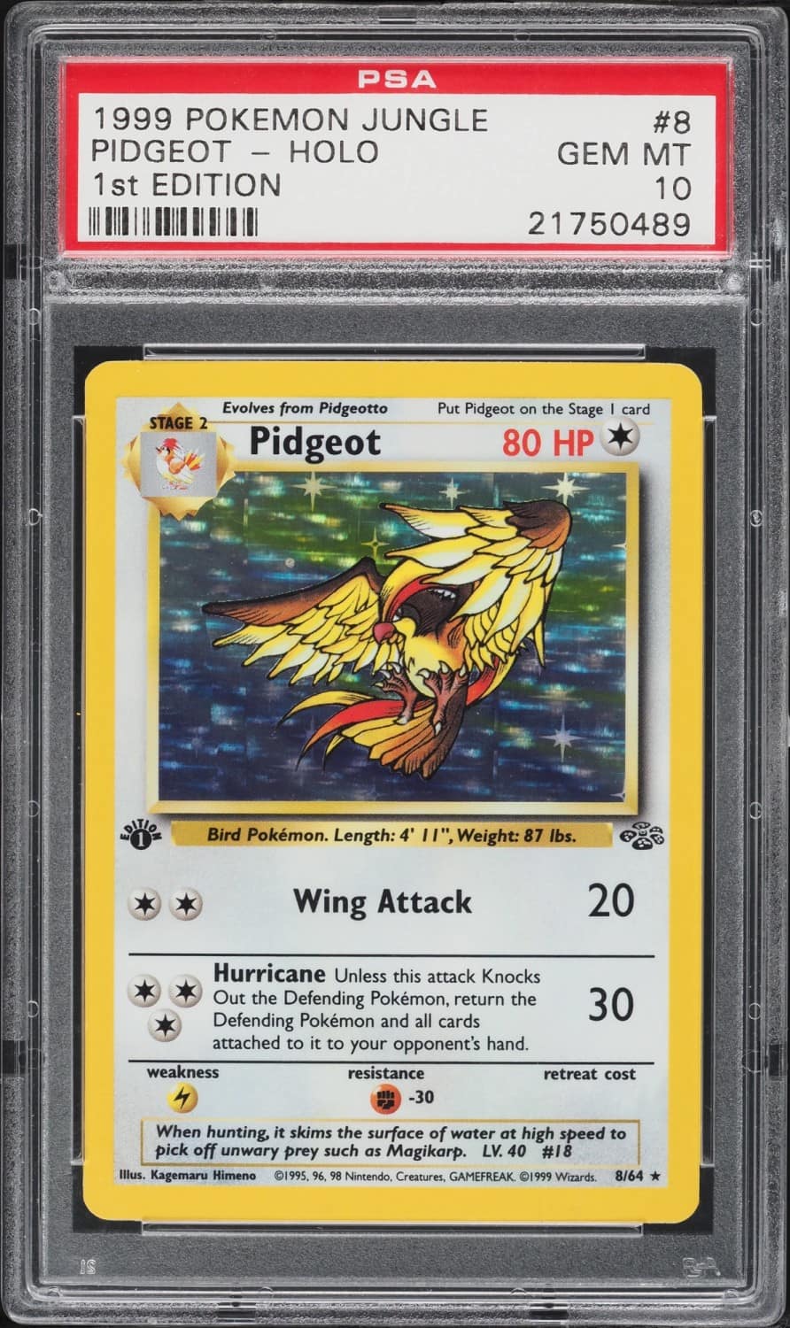 Pidgeot