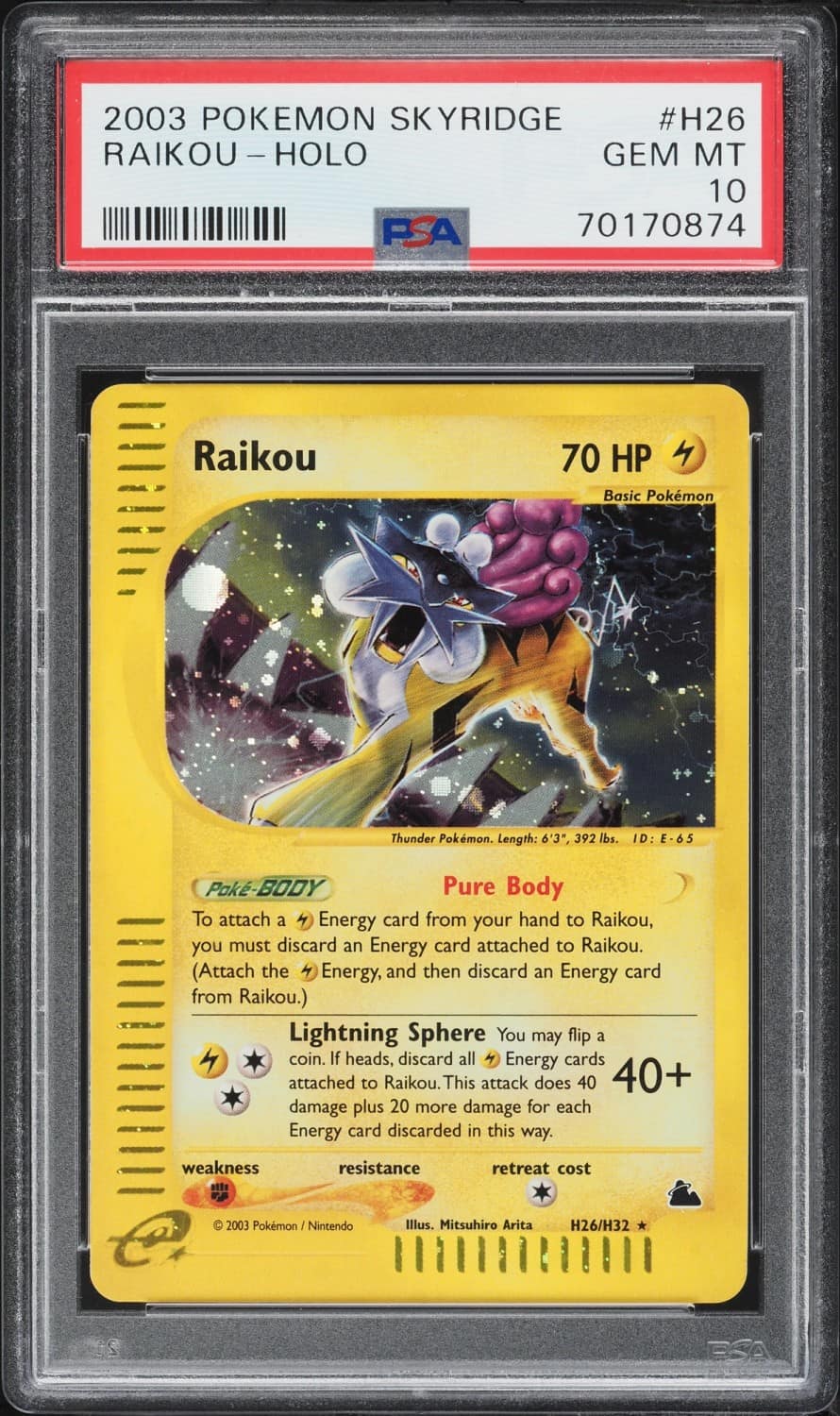 Raikou