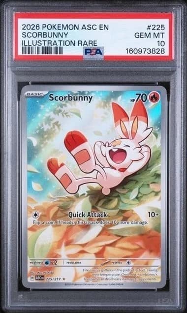 Scorbunny