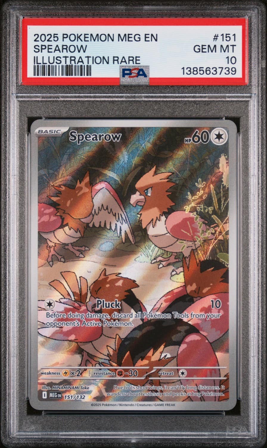 Spearow