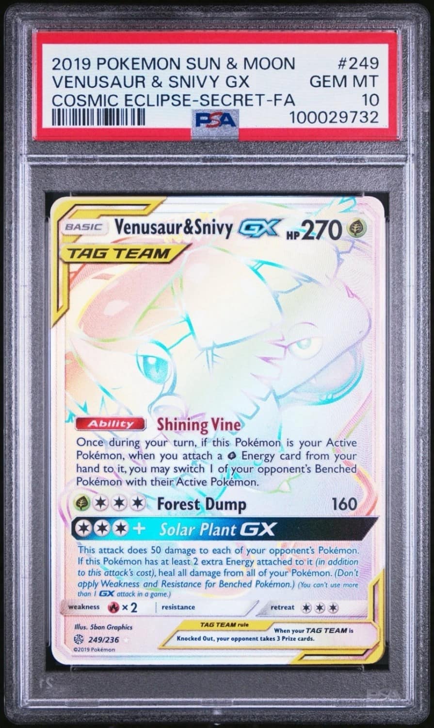 Venusaur & Snivy Gx