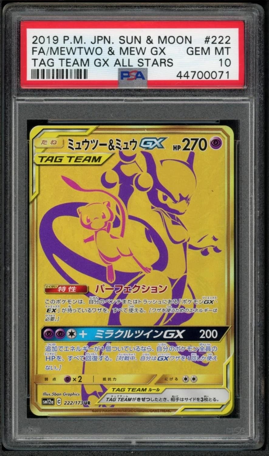Mewtwo & Mew Gx
