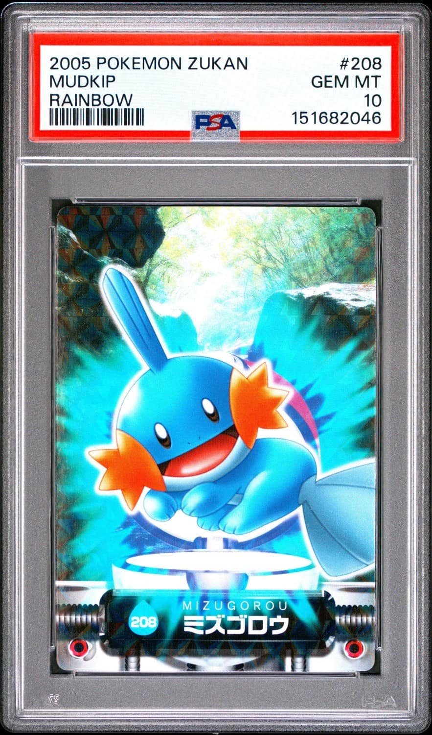 Mudkip