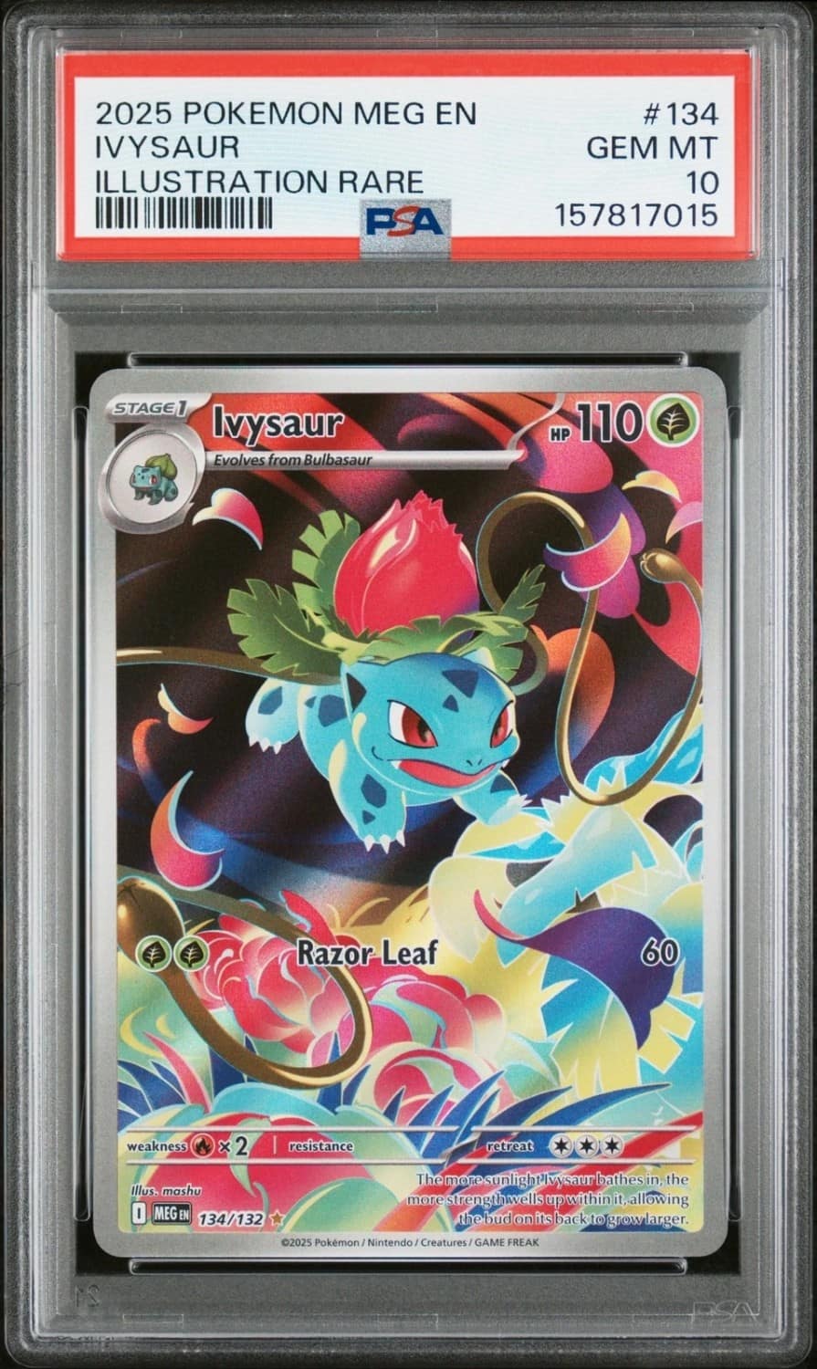 Ivysaur