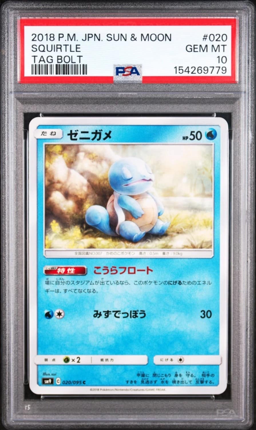 Squirtle