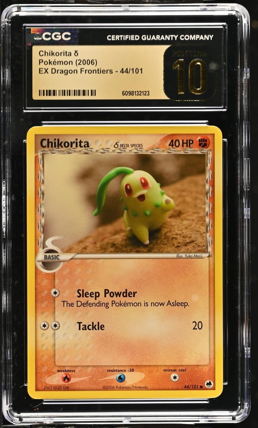 Chikorita δ