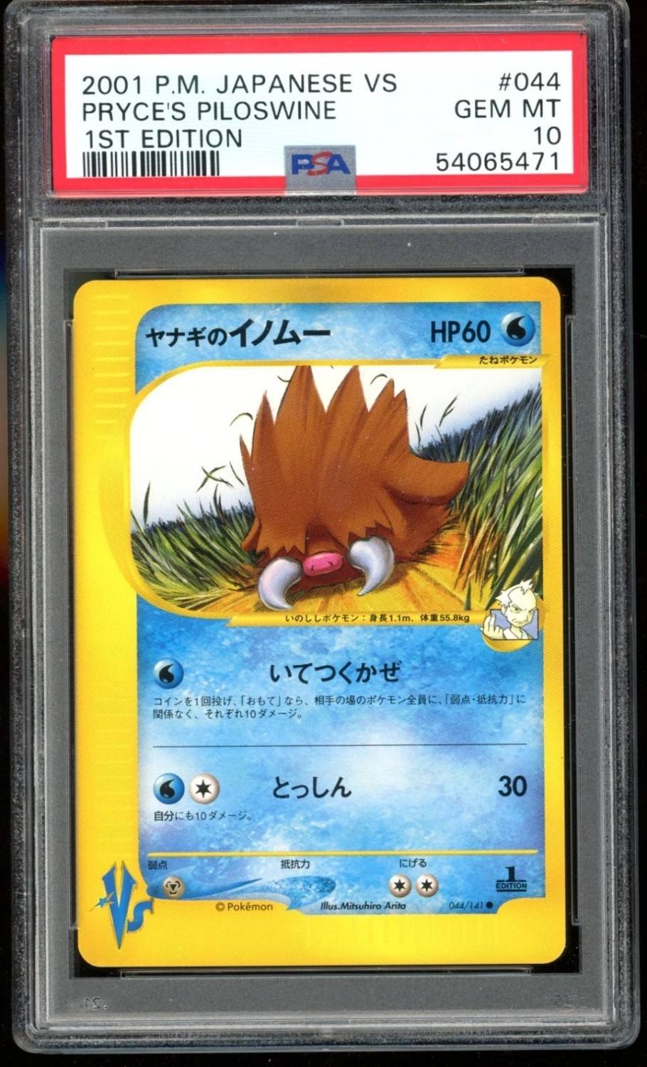 Pryce'S Piloswine
