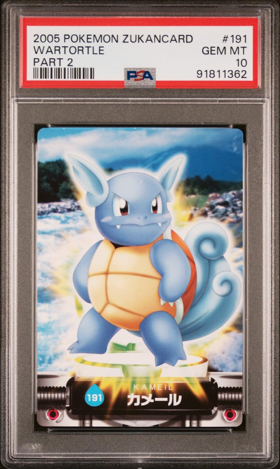 Wartortle