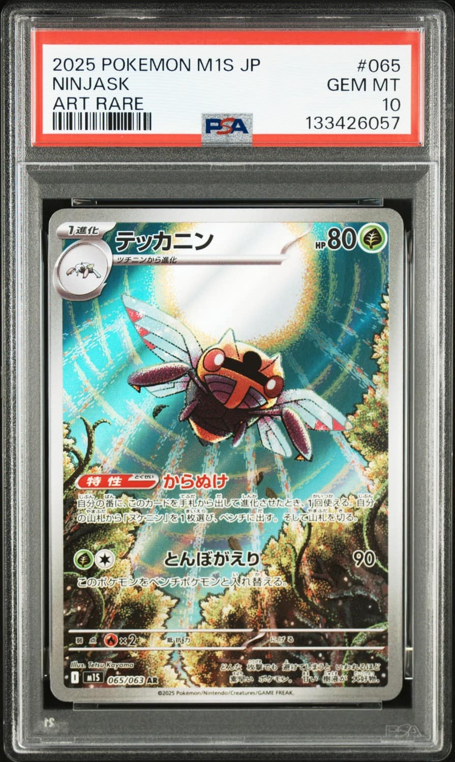 Ninjask