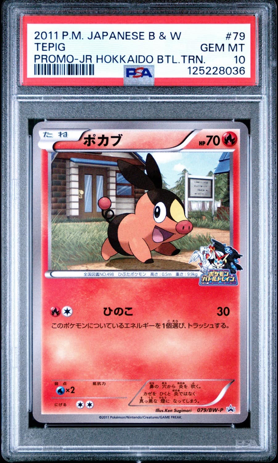 Tepig
