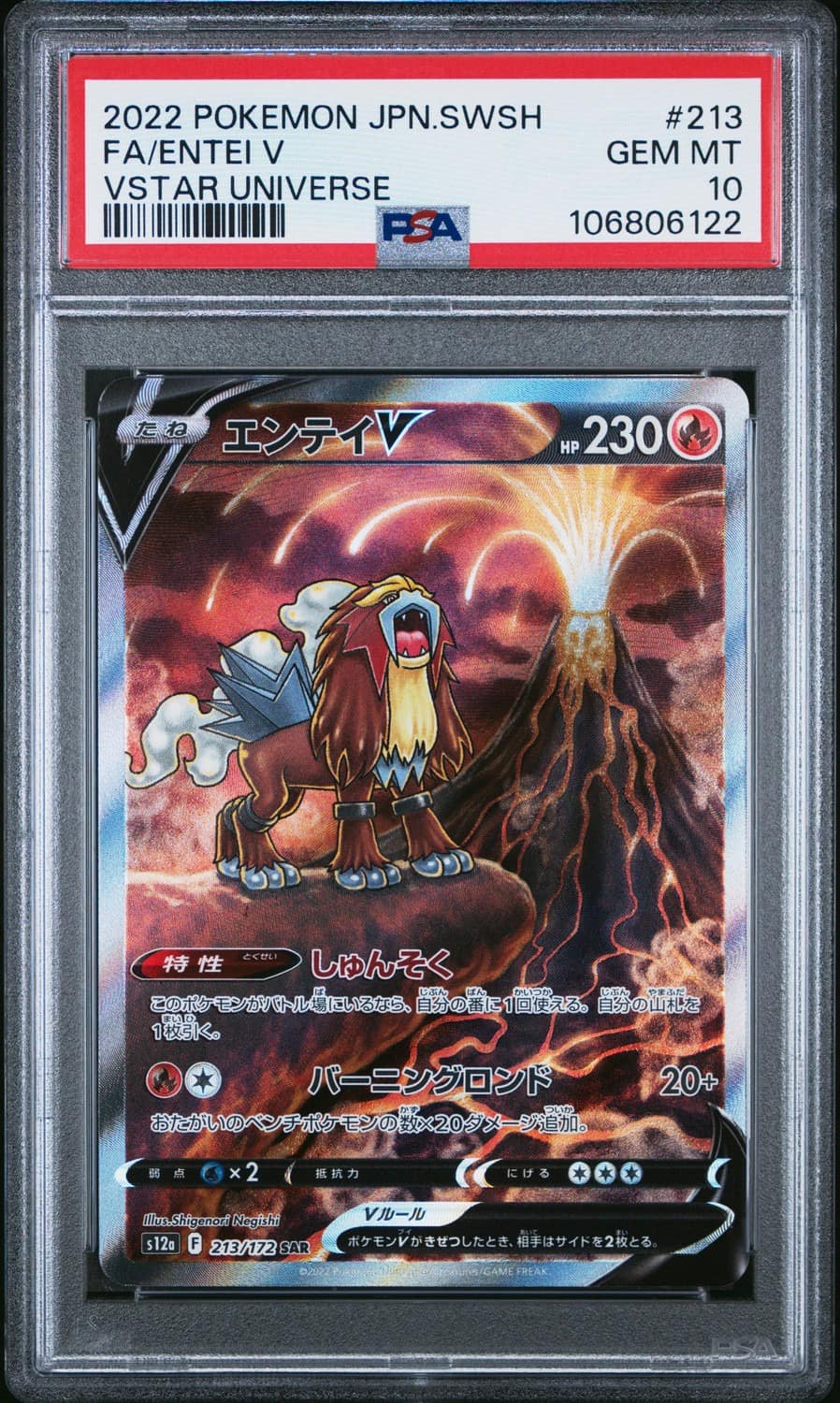 Entei V