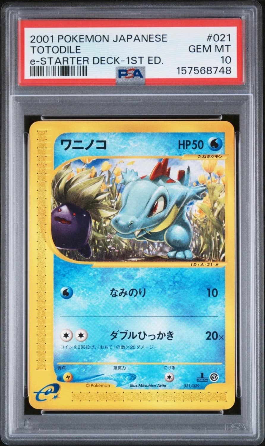 Totodile